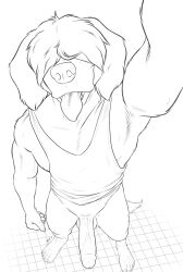 anthro athletic athletic_anthro athletic_male beastars big_penis blep bodily_fluids canid canine canis clothing collot_(beastars) domestic_dog erection genitals hair hair_over_eye hair_over_eyes herding_dog hi_res humanoid_genitalia male mammal neverwolf one_eye_obstructed pastoral_dog penis raised_arm selfie sheepdog shirt simple_background smile solo standing sweat sweatdrop tank_top tongue tongue_out topwear