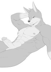 abs anthro balls biceps canid canine canis casual_erection casual_nudity dobermann domestic_dog erection fur genitals hi_res humanoid_genitalia humanoid_hands humanoid_penis ioenami88 male mammal manly muscular muscular_anthro muscular_male nipples nude pecs penis pinscher simple_background solo solo_focus