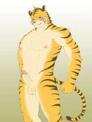 abs anthro balls blush casual_erection casual_nudity erection felid fur genitals hi_res humanoid_genitalia humanoid_hands humanoid_penis ioenami88 looking_at_viewer male mammal muscular muscular_anthro muscular_male nipples nude pantherine pecs penis simple_background solo solo_focus tiger