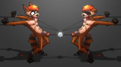 anthro ball_gag balls brother_(lore) brothers_(lore) chastity_cage chastity_device cock_and_ball_torture domidark duo gag genital_torture genitals hi_res male mammal penis procyonid raccoon ringpiece sibling_(lore) twins_(lore)