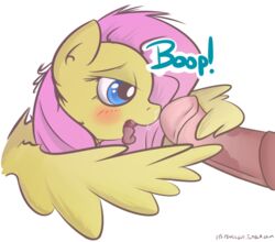 2014 alpha_channel animal_genitalia blue_eyes blush equine female feral fluttershy_(mlp) friendship_is_magic hair horsecock itspencilguy male mammal my_little_pony open_mouth pegasus penis pink_hair plain_background straight tongue transparent_background wingjob wings