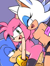 amy rose from sega by randomguy999