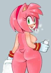 amy rose from sega by 2x