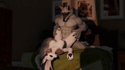16:9 1boy 1girls 3d_(artwork) 3d_animation 4_fingers abs animated anthro anthro_on_anthro barely_visible_genitalia barely_visible_penis bed bedding bedroom bedroom_sex biceps big_breasts blanket blender_(artwork) blender_eevee bouncing_breasts breasts canid canid_demon canine canis cheek_tuft claws closed_eyes crack_ship crossover death_(puss_in_boots) demon digital_media_(artwork) dogzeela_(modeler) dominant dominant_male dreamworks duo ears_up erection facial_markings facial_tuft female fingers foreplay fur furniture fuzzy genitals grey_body grey_fur grinding guard_position hair half-closed_eyes hand_on_leg hands_on_legs head_markings head_tuft hellaverse hellhound helluva_boss hi_res inside jiggle_physics jiggling kneeling legs_around_waist light lighting long_ears long_hair looking_down loona_(dogzeela) loona_(helluva_boss) lying male male/female mammal markings mask_(marking) multicolored_body multicolored_fur muscular muscular_anthro muscular_male mysteryboy18 mythological_canine mythological_creature mythology narrowed_eyes navel nipples no_sound nude on_back on_bed open_door open_mouth pawpads penis penis_against_pussy picture_frame pointy_ears prick_ears puss_in_boots_(franchise) pussy questionable_consent red_eyes sex short_playtime sleep_sex sleeping slow_sex spread_legs spreading submissive submissive_female tagme three-quarter_view tuft vaginal_penetration valorlynz_(modeler) video wall_(structure) white_body white_fur white_hair widescreen wolf