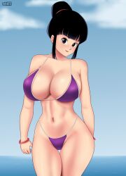 chichi from dragon ball by gummslime