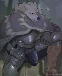 1boy 2023 anthro armor balls_outline barazoku big_bulge blaidd_(elden_ring) bulge bulge_through_clothing canid canine canis cape cloak clothed clothing dark_fur detailed_bulge elden_ring foxfawl fromsoftware fur furry gay genital_outline genitals grey_body grey_fur hi_res highres huge_bulge humanoid_genitalia humanoid_penis looking_at_viewer male male_focus male_only mammal manly penis penis_outline scar solo solo_male teeth wolf