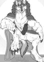 anthro balls bfw canid canine canis chair claws erection fur furniture genitals hi_res humanoid_genitalia humanoid_penis looking_at_viewer male mammal monochrome muscular muscular_anthro muscular_male nude penis sitting solo toe_claws winterbalg wolf