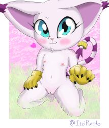 anthro bandai_namco clothing digimon digimon_(species) female gatomon genitals gloves gloves_only handwear handwear_only hi_res humanoid izzipurrito kneeling markings mostly_nude navel nipples nude pink_body pussy ring simple_background solo striped_markings striped_tail stripes tagme tail tail_markings tailmon