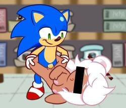 cookie_run crossover hedgehog parfait_cookie sex sonic_(series) sonic_cookie sonic_the_hedgehog sonic_the_hedgehog_(series)