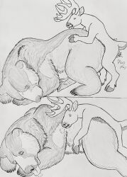 anal anal_sex animal_genitalia animal_penis anthro anthro_on_feral anthro_penetrating anthro_penetrating_feral bear bodily_fluids brown_bear cervine cervine_genitalia cervine_penis comic cum cum_in_ass cum_inside deer doggy_style duo ejaculation feral feral_penetrated from_behind_position genital_fluids genitals grizzly_bear hair hgythshs hi_res kuruk_(character) male male/male mammal mane mane_hair orgasm penetration penis roommate sex size_difference small_dom_big_sub ursine ursine_penis zoophilia