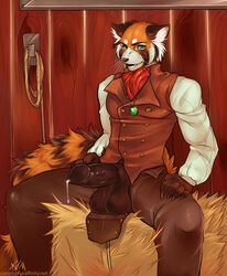 1boy anthro ascot azelyn balls barn big_balls big_penis clothed clothing erection gem green_eyes hay looking_at_viewer male male_only mammal necklace open_fly partran partran_(character) partran_(red_panda) penis precum red_panda rope sitting solo vest whiskers