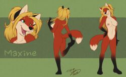 anthro blonde_hair canine clitoris clitoris_piercing female fox fur furry genital_piercing green_eyes hair looking_at_viewer mammal markings maxine_red model_sheet nipple_piercing nipples nude orange_fur piercing pussy socks_(marking) tongue tongue_piercing tygurstar