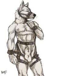 1boy anthro balls canine fur furry male male_only mammal muscles muzzle_(object) muzzled nicolas0113 nipples nude sheath solo