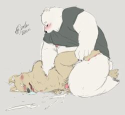 anthro bear bite black_nose blush chubby clothing cum cum_on_floor duo eyebrows kemono male male_only mammal nipples open_mouth pawpads paws penis pink_penis polar_bear raised_shirt saliva sex shirt size_difference stevenlew teeth tongue tongue_out