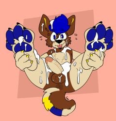 absurd_res anthro anus ass balls blep blue_hair blue_markings blue_pawpads bodily_fluids brown_body brown_fur canid canine canis cheek_tuft chest_tuft cross-popping_vein cum cum_covered cum_drip cum_on_chest cum_on_face cum_on_feet domestic_dog dripping eager erection facial_tuft feet_up flustered fur genital_fluids genitals hair hi_res humanoid_genitalia humanoid_penis inviting looking_at_viewer male mammal markings messy nervous nervous_expression nervous_smile nervous_sweat pauwer_(pauwer) pawpads paws penis pink_background presenting presenting_anus presenting_balls presenting_hindquarters presenting_penis simple_background smile solo spread_legs spreading tan_body tan_fur tongue tongue_out tuft vein veiny_penis wide_eyed xing1 yellow_markings