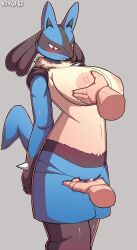 female female_lucario fingering huge_breasts kings-gz lucario pokemon pokemon_(species) pussy tagme vagina