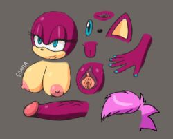 anthro artist_request body_parts breasts furry futa_only futanari nude penis sonia_the_hedgehog sonic_(series) sonic_the_hedgehog_(series) source_request vagina