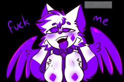 breasts crystal_(kittydogcrystal) furry furry_only kittydog_(species) kittydogcrystal purple_blush purple_fur white_fur