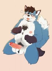 absurd_res anthro ball_tuft balls begging big_penis blue_body blue_fur blush bodily_fluids body_hair canid canine canis chest_tuft chubby_male claws cookie_(nick-sona) dipstick_ears dipstick_tail erection eyewear facial_hair facial_markings fluffy fluffy_tail fur genital_fluids genitals glasses happy_trail head_markings head_tuft heart hi_res humanoid_genitalia humanoid_penis kneeling male mammal markings multicolored_ears nipples penis precum pubes purple_body purple_eyes purple_fur sharp_teeth shockstk solo tail tail_markings teeth tongue tongue_out tuft white_body white_fur wolf