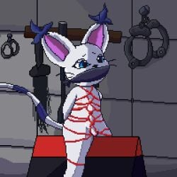 1:1 animated anthro arms_tied bandai_namco blue_eyes bondage bound digimon digimon_(species) female fur gatomon genitals hi_res lawealewd purple_body purple_fur pussy restraints rope rope_bondage rope_harness short_playtime solo tailmon tuft white_body white_fur wooden_horse_(device)