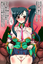 blush breasts chinese_girl cleavage innie_pussy kan'u_unchou_(koihime) koihime†_(series) koihime_musou nipples pointy_chin pussy skirt_lift translation_request