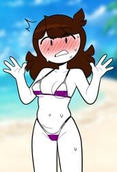8c23 ai_generated asexual asexual_bikini asexual_pride_colors beach bikini black_eyes brown_hair daytime embarrassed hands_up jaiden jaiden_animations medium_breasts micro_bikini nipple_bulge sweat sweating tagme