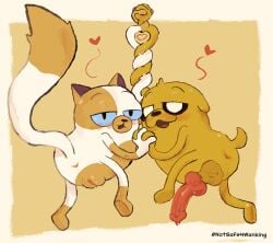 cake the cat from adventure time by notsafeforwanking