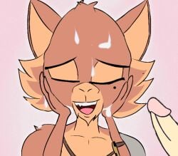 1boy cum cum_inside cum_on_face happy jackalman penis reference rule34 so_real thundercats