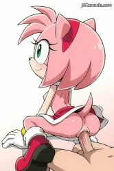 amy rose from sega by jscammie