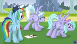 blush cloud_chaser_(mlp) cutie_mark equine flirting flitter_(mlp) friendship_is_magic my_little_pony pegasus presenting rainbow_dash_(mlp) straight_hair template93 wing_boner wings