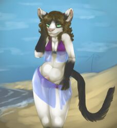 2015 beach breasts draekos feline futanari green_eyes harem_outfit intersex looking_at_viewer mammal penis seaside solo