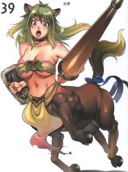 breasts centaur cleavage f.s. green_hair highres lance large_breasts melona monster_girl polearm queen's_blade shield taur weapon