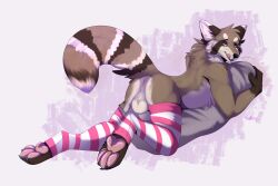 anthro backsack balls clothing genitals hi_res hoak_(artist) jono legwear male mammal presenting procyonid raccoon solo thigh_highs