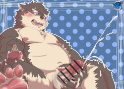 1kkun2 anthro balls belly blush bodily_fluids canid canine canis censored cum domestic_dog erection eyebrows fur genital_fluids genitals grey_body grey_fur hi_res lifewonders male mammal masturbation moritaka navel nipples orgasm pecs penis scar solo thick_eyebrows tokyo_afterschool_summoners