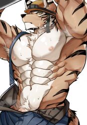 2023 abs absurd_res anthro armpit_hair barely_visible_genitalia barely_visible_penis biceps black_nose body_hair chung0_0 clothed clothing felid fur genitals hi_res male mammal muscular muscular_anthro muscular_male nipples orange_body orange_fur pantherine pecs penis simple_background solo striped_body striped_fur stripes tiger white_background