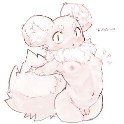 1:1 4_fingers anthro areola armpit_hair balls big_tail blush body_hair breasts brown_and_white brown_eyes cheek_tuft chest_tuft chibi circle_eyebrows curvy_figure digital_media_(artwork) ear_blush erect_nipples eyebrows facial_tuft fingers flaccid fluffy fluffy_tail foreskin fur genitals girly hands_on_tail hi_res hourglass_figure humanoid_genitalia humanoid_penis inner_ear_fluff japanese_text kemono leaning leaning_forward looking_at_viewer male mammal monochrome multicolored_body navel neck_tuft nezumickey nipples nude open_mouth penis presenting presenting_breasts puffy_areola pupils rodent round_ears sciurid simple_background slim slit_pupils small_breasts small_penis solo standing tail text thick_thighs tree_squirrel tuft two_tone_body unretracted_foreskin wide_eyed wide_hips young