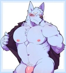 abs anthro barazoku biceps blue_body blue_fur blush bottomless canid canine canis clothed clothing digital_media_(artwork) fur genitals hi_res humanoid_genitalia humanoid_penis looking_at_viewer male mammal mostly_nude muscular muscular_anthro muscular_male nipples pecs penis sain_(seintaur) seintaur shirt shirt_only simple_background solo topwear topwear_only undressing wolf