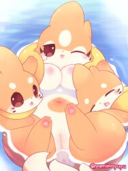 3:4 ambiguous_gender anus areola breasts buizel clothing digital_drawing_(artwork) digital_media_(artwork) female female_focus feral floatzel fur generation_4_pokemon genitals hi_res nakimayo navel nintendo nipples one_eye_closed orange_body orange_fur partially_submerged paws pink_areola pink_nipples pokemon pokemon_(species) pussy slightly_chubby slightly_chubby_female swimwear tail tan_body tan_fur tongue tongue_out water