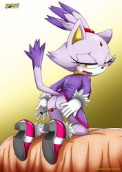 blaze the cat from sonic (series) by bbmbbf