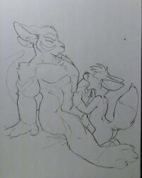 anthro big_feet big_penis canid canine duo feet fellatio fox genitals hi_res huge_cock kangaroo karishad_(housepets!) looking_pleasured macropod male male/male mammal marsupial oral penile penis rick_griffin sex sultan_(pit_fighters)