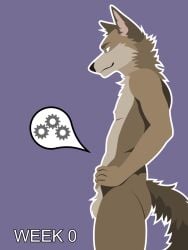 3:4 anthro balls billybobjoey canid canine canis coyote flat_chested flat_shading fuzzy_balls genitals green_eyes hi_res male mammal neck_tuft nipples nude outline pregnant pregnant_male progression series side_view simple_background slim smile smirk solo tail text tuft vector