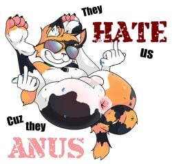 anthro anus balls calico_cat collar domestic_cat english_text eyewear felid feline felis genitals gesture hi_res inkpenkitten male mammal middle_finger nude simple_background solo sunglasses text tinydevilhorns white_background