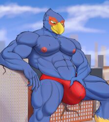 absurd_res anthro avian beak bird blue_body building bulge bulge_grab city clothing destruction detailed_bulge falco_lombardi furrrled gay hi_res macro male muscular muscular_male nintendo sitting speedo star_fox swimwear worship