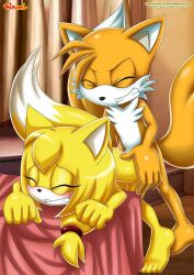 1boy 1girls bbmbbf bed cum_inside female furry furry_only male mobius_unleashed palcomix sex sonic_(series) sonic_the_hedgehog_(series) straight_sex tails zooey_the_fox