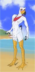 animal_crossing anthro avian balls beach beak bird blue_eyes blush blushing_profusely bodily_fluids digital_media_(artwork) dripping embarrassed erection exhibitionism eyebrows feather_tuft feathers feet genital_fluids genitals glans gull gulliver_(animal_crossing) hi_res humanoid_genitalia humanoid_hands humanoid_penis kerchief kerchief_only krowbutt lari larid male membrane_(anatomy) mostly_nude navel neckerchief neckerchief_only neckwear nintendo nipples outdoor_nudity outside penis precum precum_drip precum_string public public_nudity sand sea seaside slim slim_male solo standing tail tail_feathers thick_eyebrows toes tuft water webbed_feet white_body yellow_beak yellow_legs