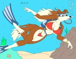 1girls air_tank bikini bubbles canine colleen_(road_rovers) domestic_dog female flippers furry goggles ocean road_rovers rough_collie scuba_diving sea solo straps strikersa underwater warner_brothers
