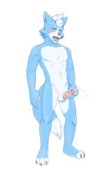 3_toes 5_fingers anthro balls belly black_nose blue_body blue_fur blush blush_lines bodily_fluids canid canine canis claws closed_eyes cum cumshot dipstick_tail ejaculation feet fingers fox fur furgonomics genital_fluids genitals hair hi_res humanoid_genitalia humanoid_penis kokoro-tokoro left-handed male mammal marcus_mccloud markings masturbation multicolored_body nintendo nude nude_anthro nude_male open_mouth orgasm orgasm_face penis simple_background solo standing star_fox tail tail_markings teeth toe_claws toes tongue white_background white_belly white_body white_fur white_tail_tip