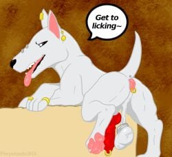 anal_piercing ball_stretcher balls boaz_(darkmare) bull_terrier canid canine canis digit_ring domestic_dog ear_piercing ear_ring feet feral furgonomics furry-specific_piercing genital_piercing genitals hunting_dog jewelry male mammal pawpads penis penis_piercing perpetuate303 piercing ring ring_piercing saggy_balls solo tail tail_piercing terrier toe_ring toes tongue tongue_piercing vein veiny_balls veiny_penis