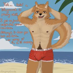 abs absurd_res anthro beach bodily_fluids body_hair bulge canid canine canis chest_hair clothing detailed_bulge domestic_dog dragonplantie hi_res lifeguard looking_at_viewer male mammal muscular musk musk_clouds nipples pubes solo sweat swimwear talking_to_viewer text