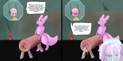 absurd_res anthro balls being_watched bodily_fluids breeding_mount cum cum_on_balls dialogue five_pebbles_(rain_world) genital_fluids genitals hi_res hunter_(rain_world) inschaal iterator_(rain_world) leaking_cum looking_at_another male male/male rain_world recording slugcat videocult